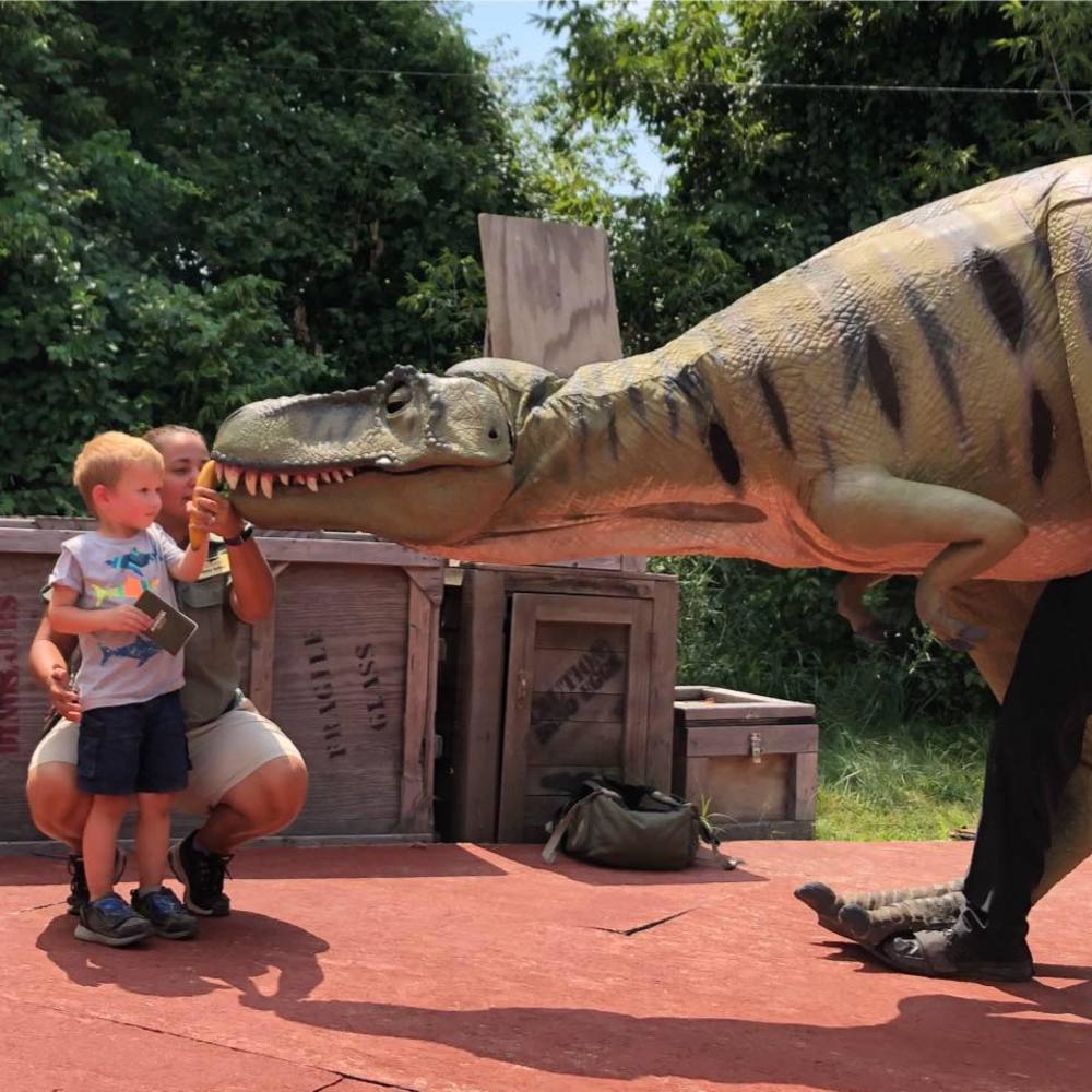 Meet your Posher, Jill